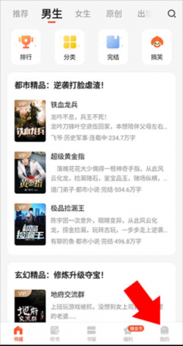 奇迹小说