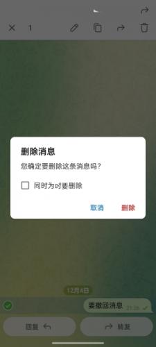 纸飞机聊天软件安卓版