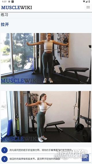 musclewiki安卓版使用教程2