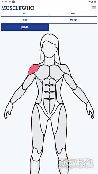 musclewiki安卓版使用教程1