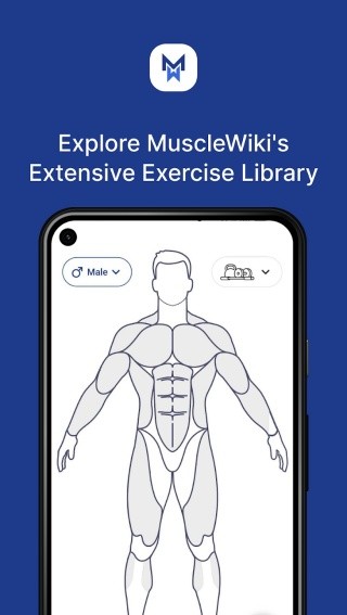 musclewiki安卓版