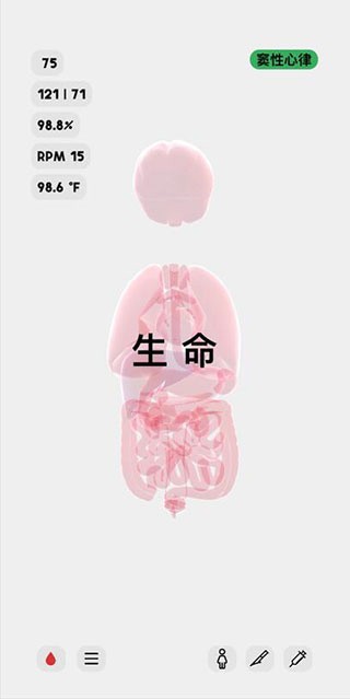 生命life中文版