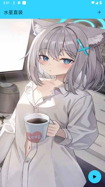 水星直装
