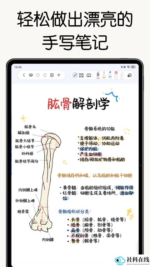 自由笔记官方版