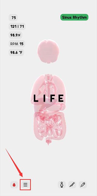 生命life中文版
