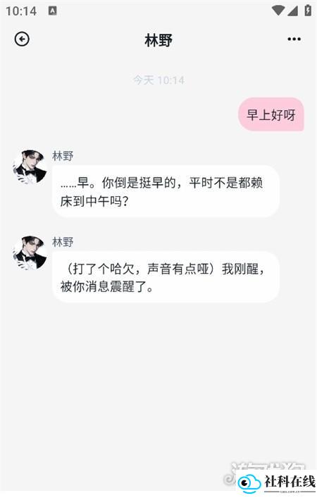 步骤6：开始聊天