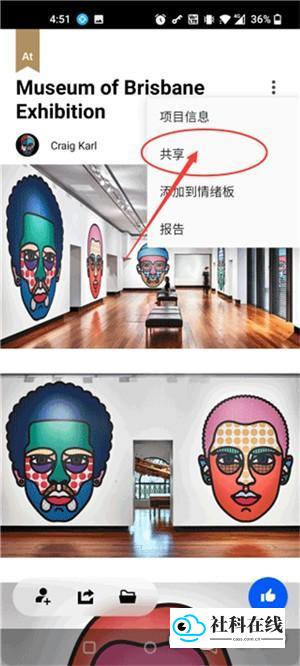选择共享选项