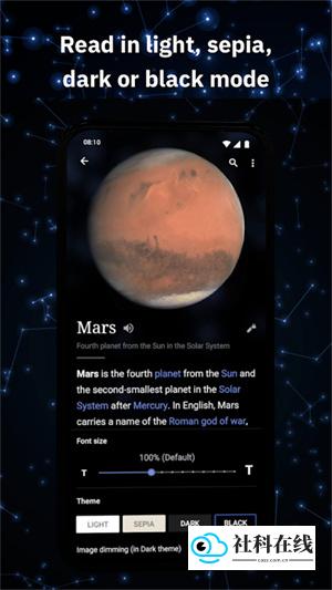 维基百科App
