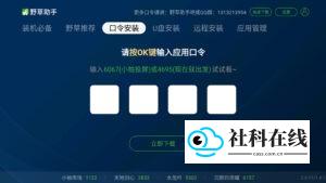 口令安装界面
