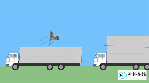 猫跨栏中文版