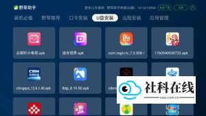 U盘安装界面