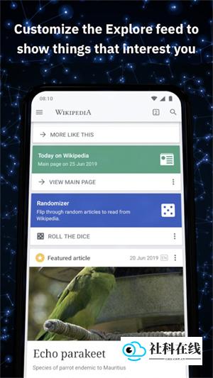 维基百科App