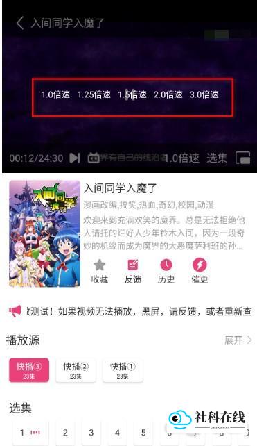 森林动漫