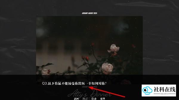 剧情对话选项