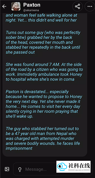 SpicychatAI切换中文界面步骤二