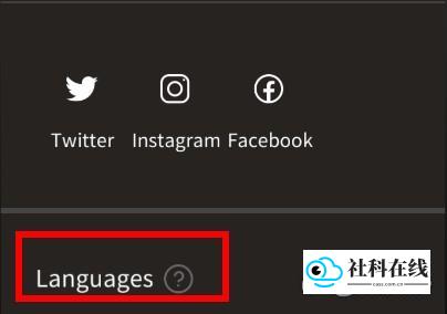 查找语言选项截图