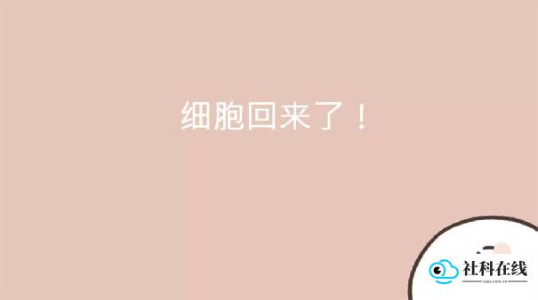 我的49天与细胞