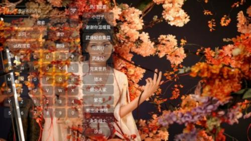 菠萝影视