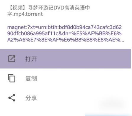 skrbt引擎浏览器