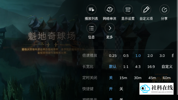 MXPlayer官方中文版使用教程4