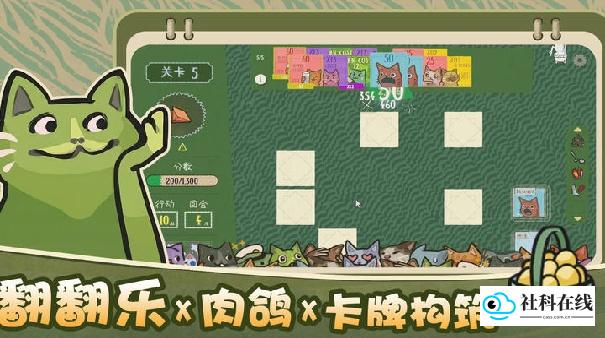 双喵成行