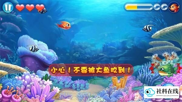 大鱼吃小鱼3