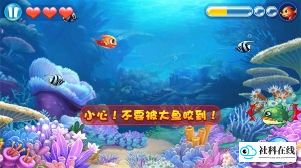 大鱼吃小鱼3