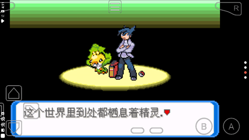 口袋妖怪釉色数码宝贝破解版