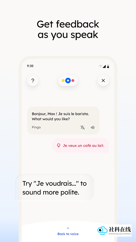 pingo ai