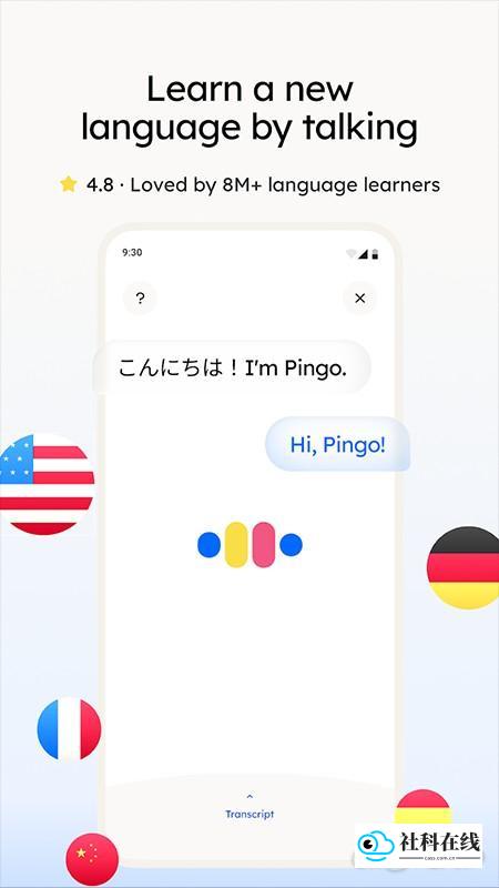pingo ai