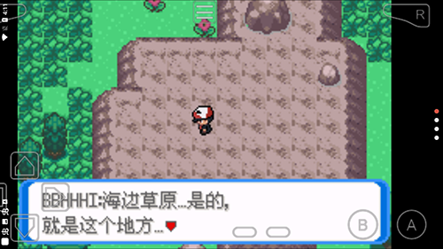 口袋妖怪釉色数码宝贝破解版