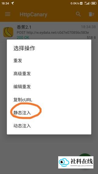 启用静态注入