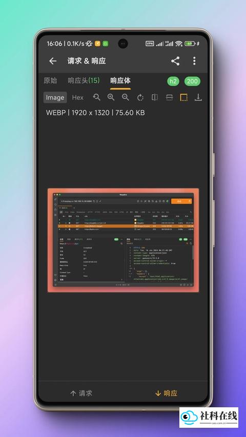 黄鸟抓包app