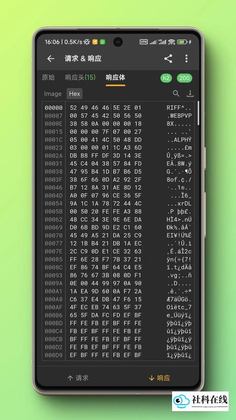 黄鸟抓包app