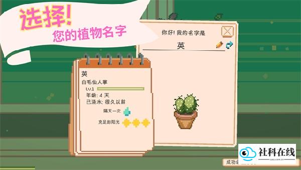 窗边花园官方版