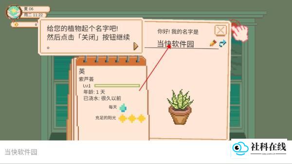 窗边花园官方版游戏玩法6