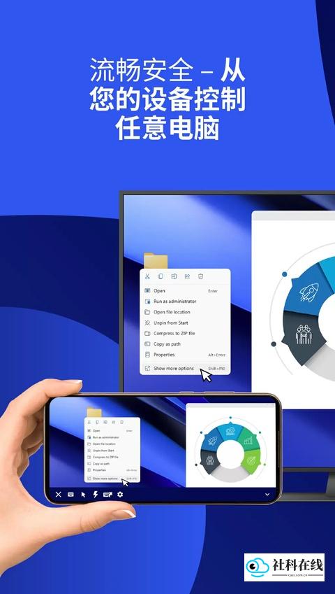 team viewer