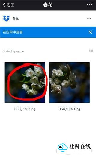 Dropbox云盘照片下载步骤2
