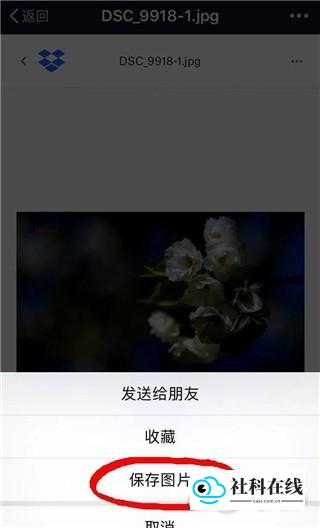 Dropbox云盘照片下载步骤4
