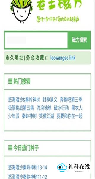 老王磁力引擎