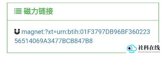 老王磁力引擎使用步骤-4