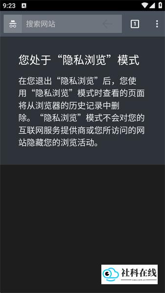 Silk浏览器使用步骤-3