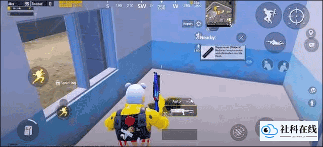pubg印度版游戏玩法4