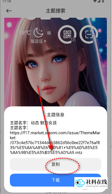 ThemeTool安卓版下载主题步骤4