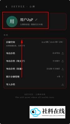 Skynex登录步骤-6