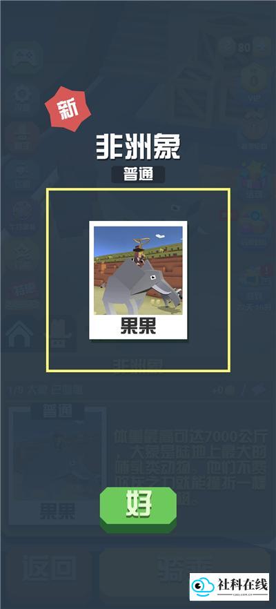 疯狂动物园国际版