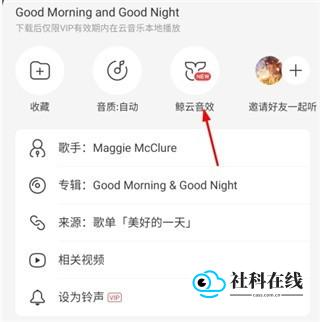选择鲸云音效图示