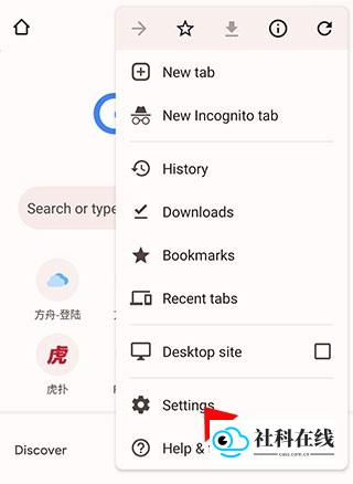 Chrome怎么设置中文2