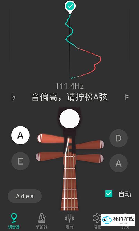 琵琶调音大师