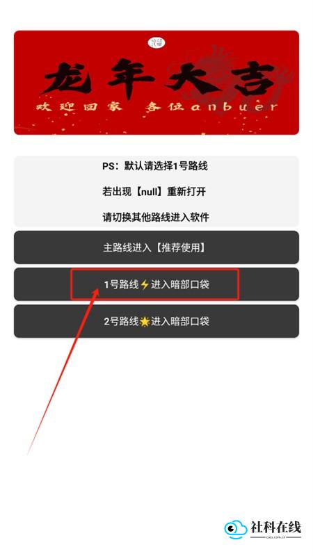应用界面示意图